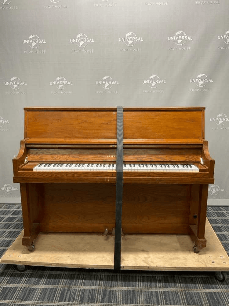 INSTRUMENT, AN015634, from Universal Studios Prop House