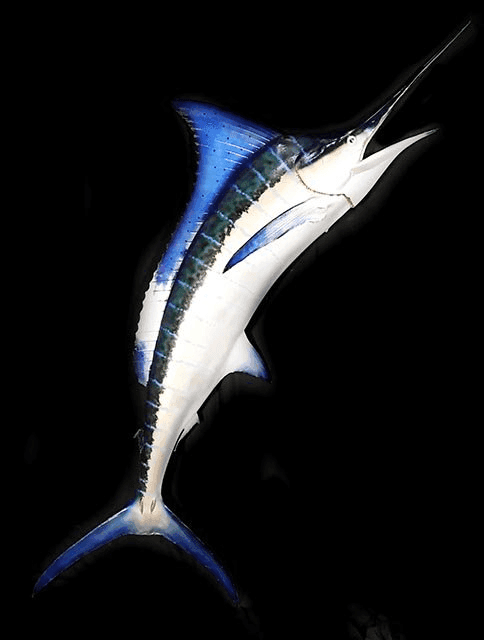 Marlin, PEZT28, from Bischoff's Animals