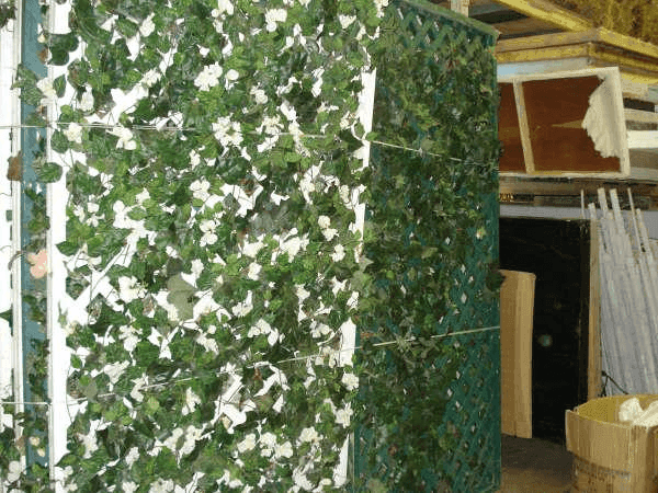 IVY TRELLIS, 408, from American Foliage
