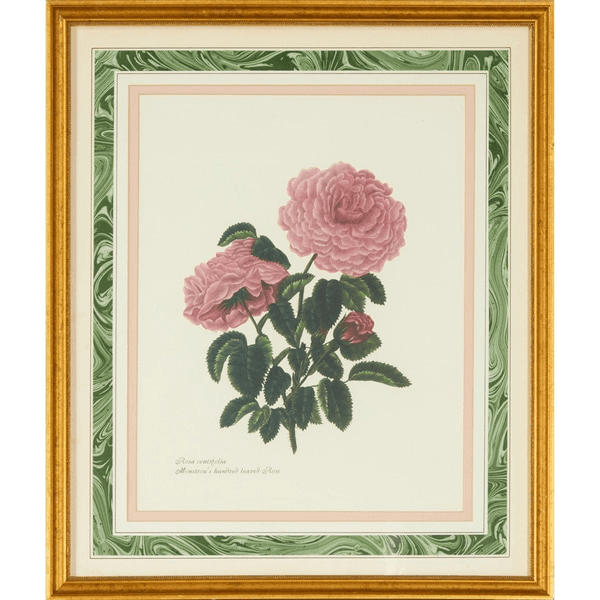 Vintage Rose with Pink & Green Marble Boarder I, 501746, from Gotham Props
