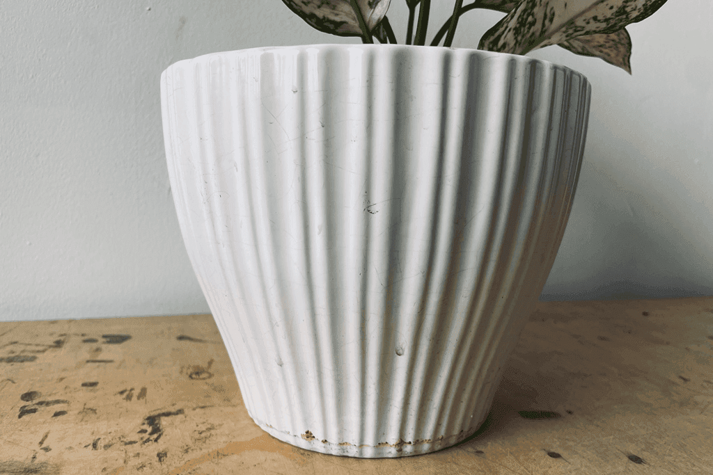 White Fluted Ceramic Planter, 50, from Best Supporting Plants