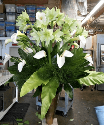 FRESH Cool Blooms Tall Arrangement, FF0162, from Sandy Rose