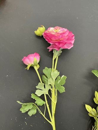 Pink Peony, IMG8635, from Picture Start Props