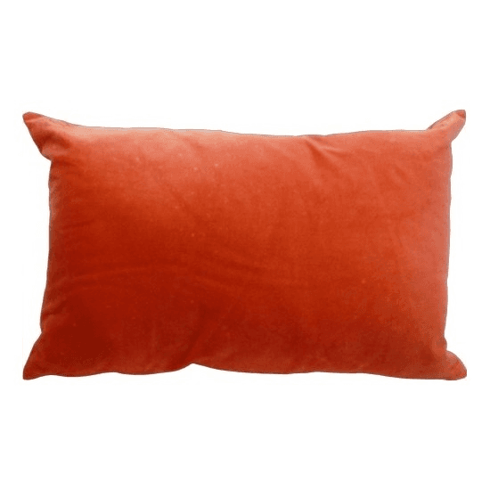 Pillow, Cotton Coral Velour, PW01334, from Pinacoteca Picture Props