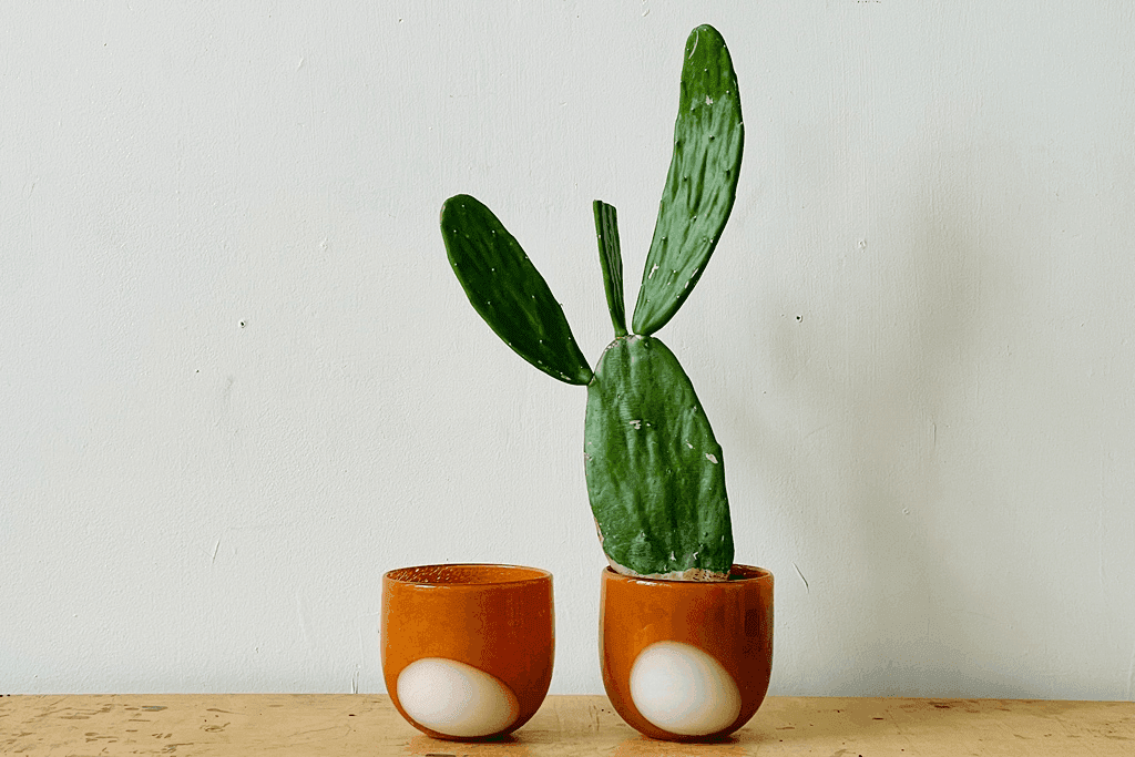Amber Glass Planters with White Spotlight, 58, from Best Supporting Plants
