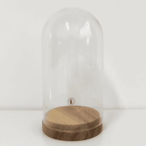 Jar Glass Bubble, BOT54, from Tip Top Props
