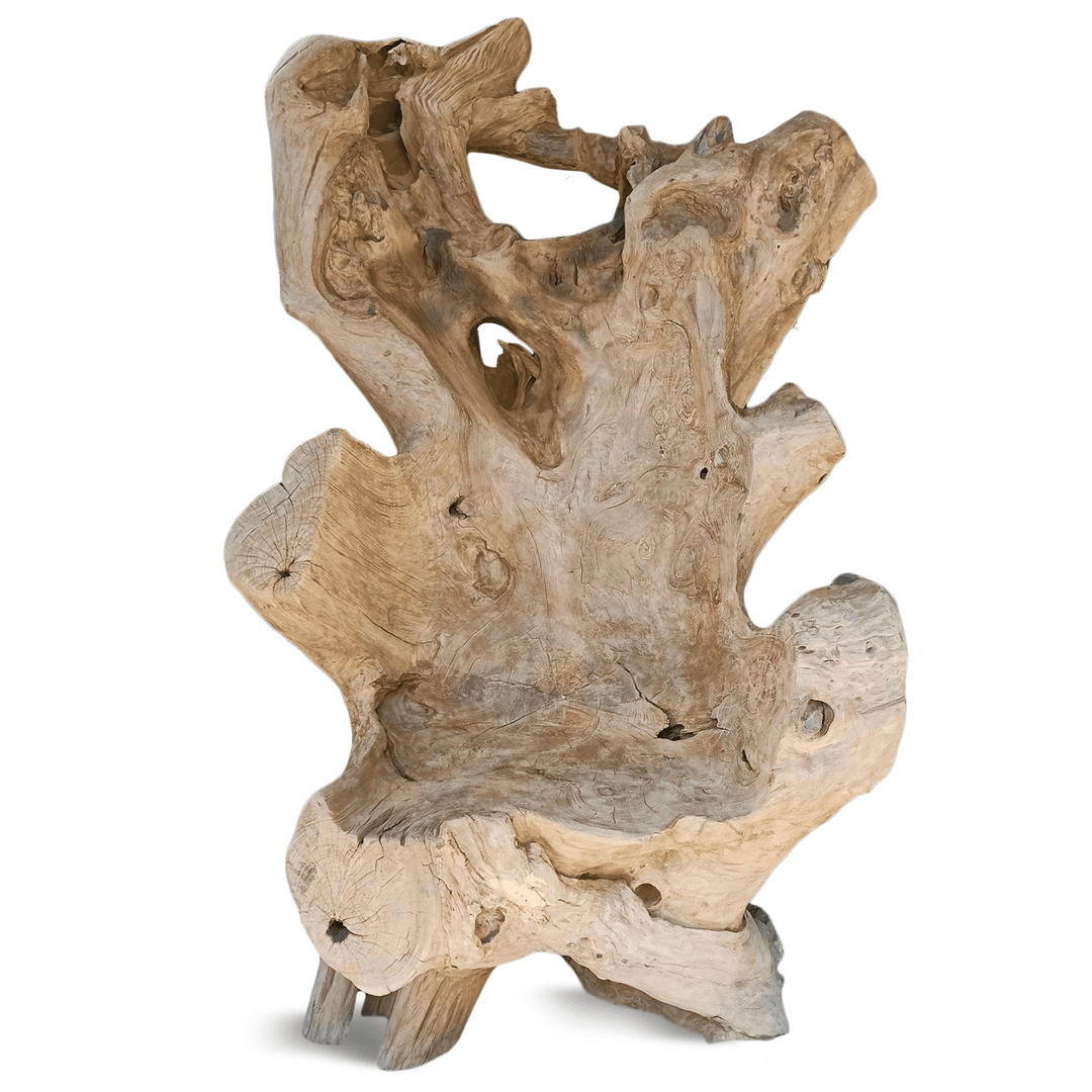 Giant Teak Root Throne Chair, DAYU34FAL21, from Design Mix Furniture