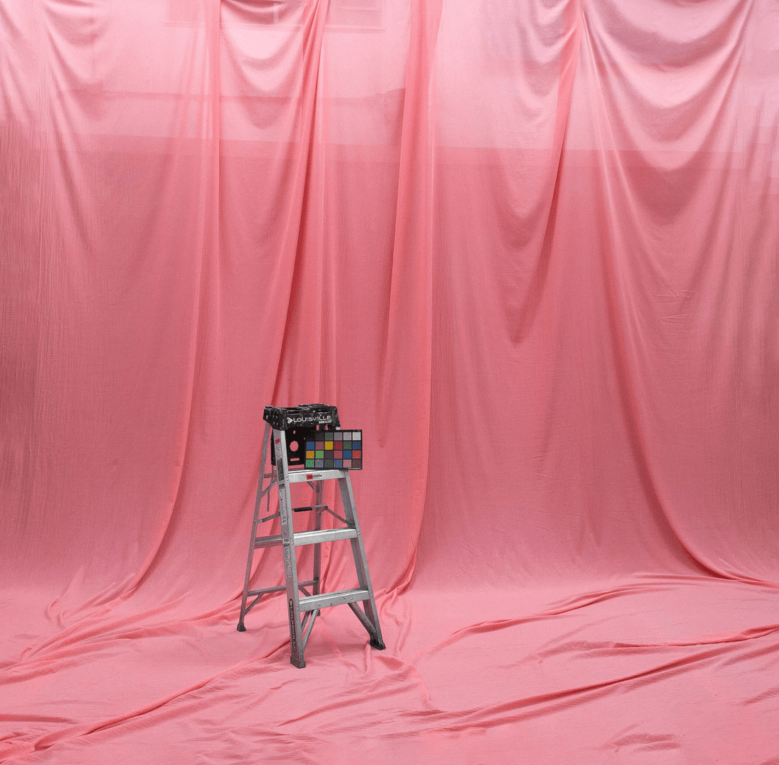 2917, from Schmidli Backdrops