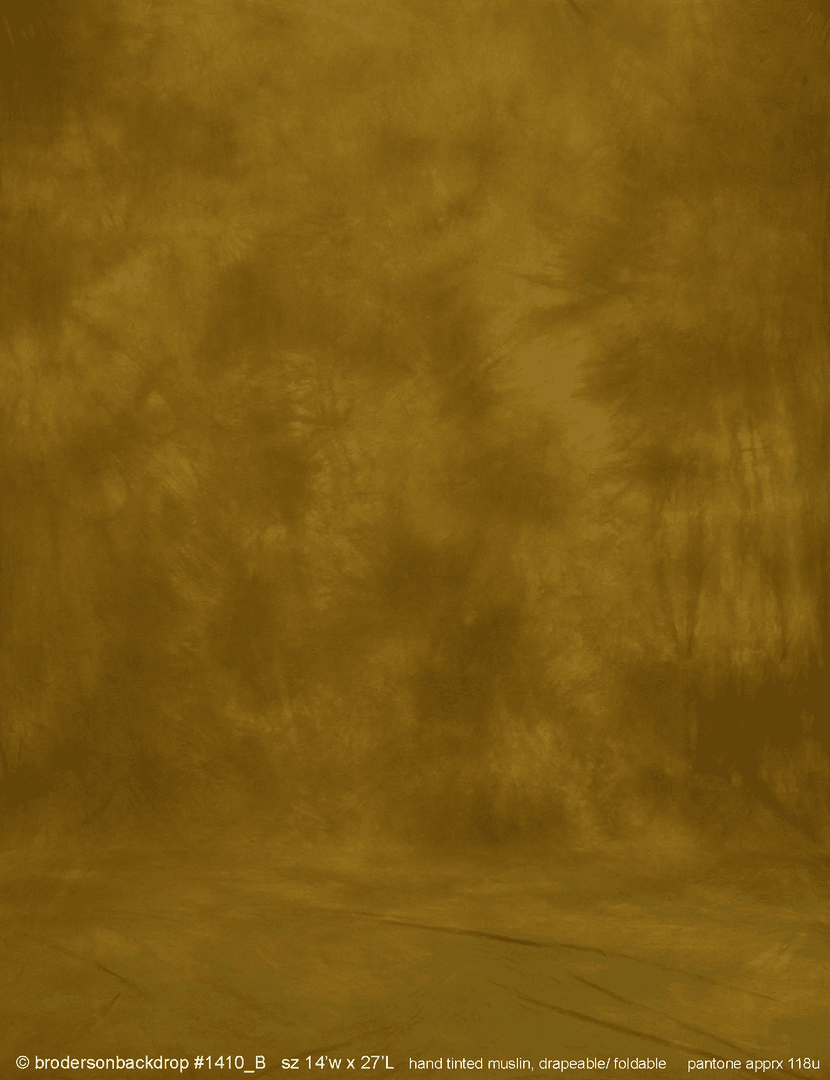 muslin 1410B, from Broderson Backdrops