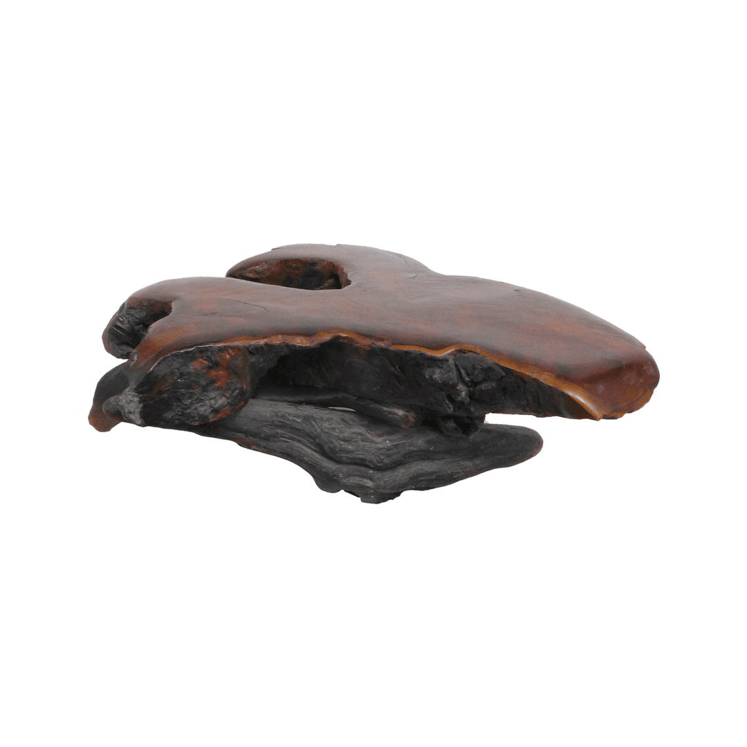 Petite Organic Burl Side Table, from The Window