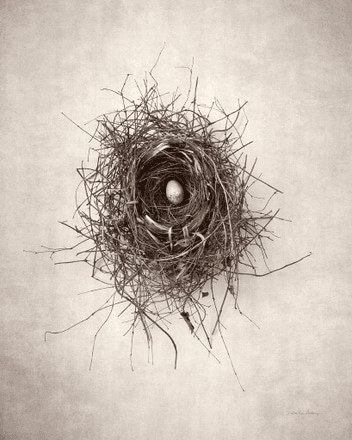 Nest I, WA31498B, from Off The Walls Studio Gallery