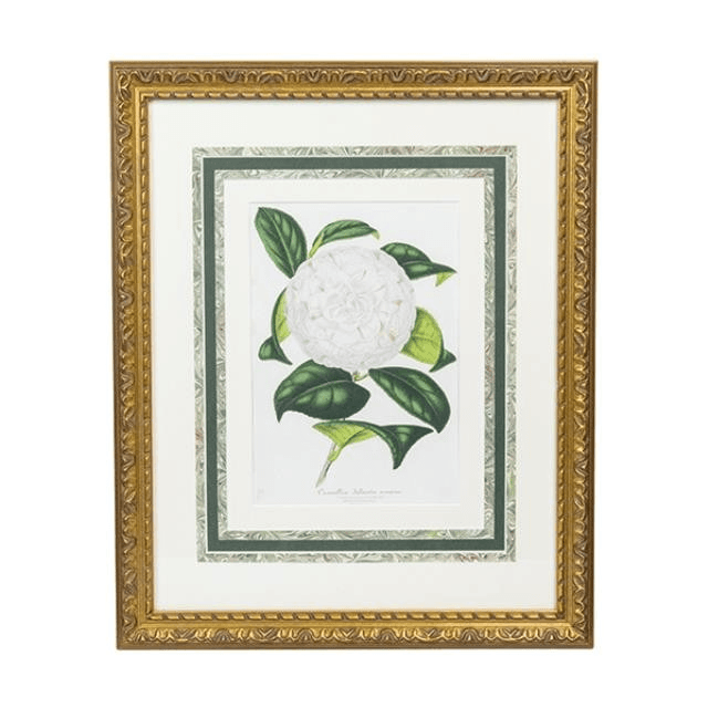 FRAMED LITHOGRAPH-Antique Hand Colored W/Gold Frame, 85210607, from propNspoon