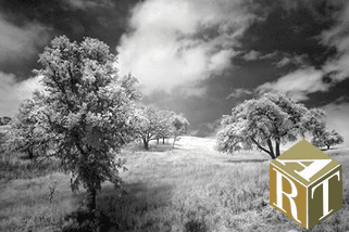 Misty Oaks, LG-073, from Art Dimensions Inc.